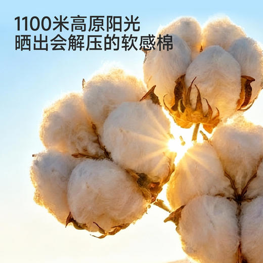 英氏儿童衣服男童夏季百搭短袖圆领T恤纯棉户外休闲套头衫26新款 商品图1