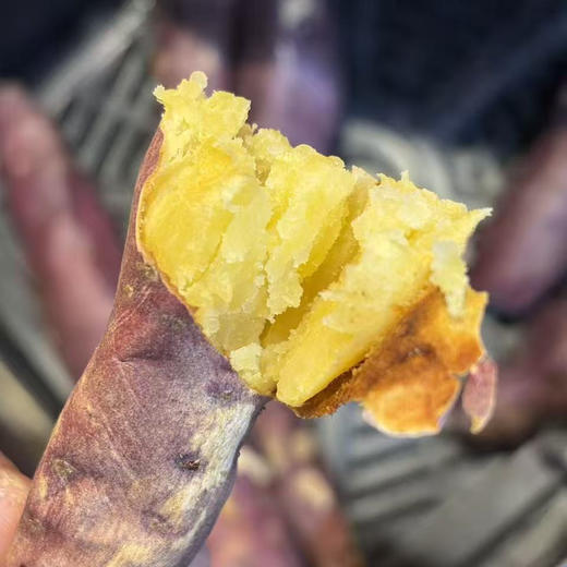 海南桥头地瓜 🍠宝宝果 适合烤蒸煮 软糯香甜 19.9/3斤（口碑红薯） 商品图0