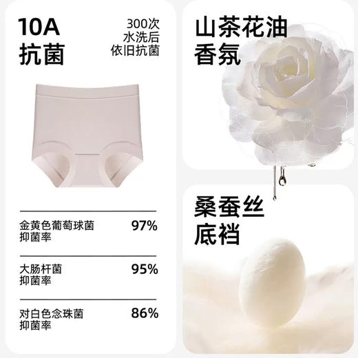 【49元3条，请拍三条，单拍不发】天然50S山茶花油无痕女士内裤-613 商品图4