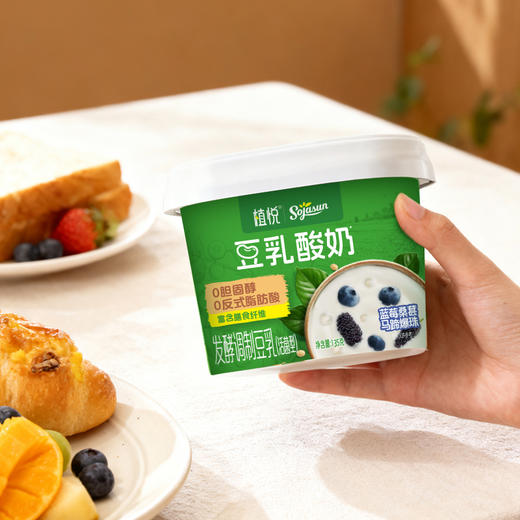 【发出后不支持拦截退货】植悦 豆乳酸奶（青提茉莉/蓝莓桑葚）135g*12 商品图0
