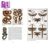 预售 【中商原版】生物多样性的艺术 艺术家与博物学家 The Art of Biodiversity Artists & Naturalists 英文原版 Eric Himmel 商品缩略图3