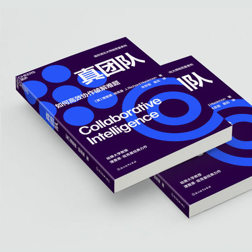 真团队 组织进化大师、哈佛大学社会和组织心理学教授 理查德·哈克曼经典力作 商品图3