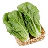 那云那南有机意大利生菜苗 250g/份 商品缩略图1