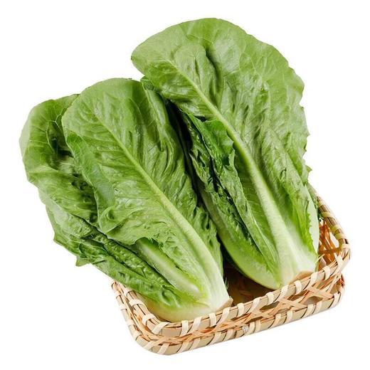 那云那南有机意大利生菜苗 250g/份 商品图1