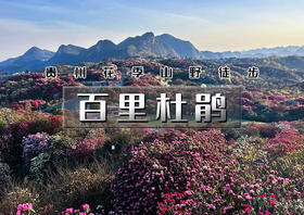 火！清明4.3-4.6｜百里杜鹃｜2026贵州花季山野轻徒步の羊皮洞瀑布-百里杜鹃-三江古道｜4天3晚