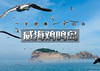 清明3天｜威海鸡鸣岛｜网红威海の一半浪漫一半山海-遇见不一样诗与远方 商品缩略图0