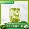 黄红缨初春瓮安白茶明前嫩芽清香回甘 商品缩略图3