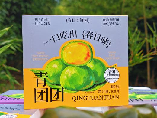 春日限定 | 盒装青团（四粒精美盒装 春天的气息 创新馅料) 200克/盒 60盒/箱 保质期45天 商品图9