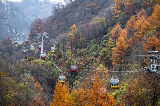 中原秋色 7 天摄影团·老君山、龙门石窟、太行林州大峡谷、郭亮村 商品图8