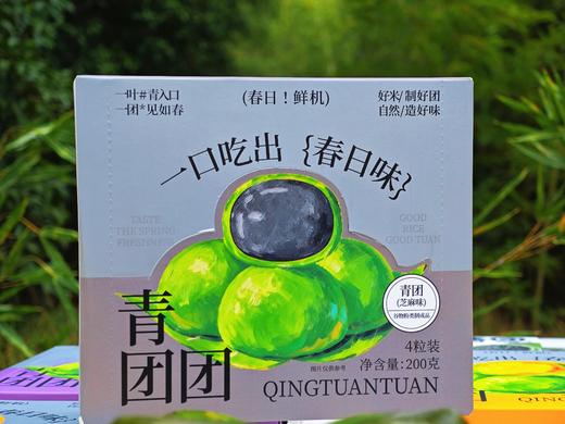 春日限定 | 盒装青团（四粒精美盒装 春天的气息 创新馅料) 200克/盒 60盒/箱 保质期45天 商品图8