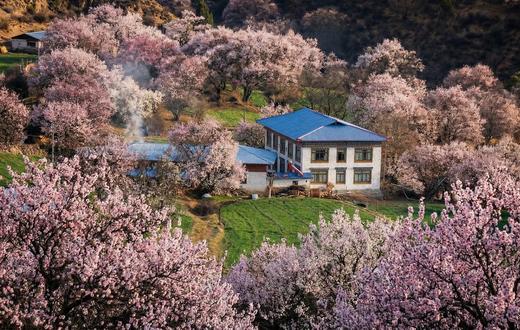 一起去西藏林芝，看桃花 |  6日行程 商品图1