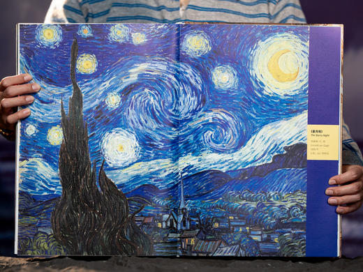 【拥有这本纸上博物馆≈省去2240.1元门票】《云游世界AAAAA博物馆》19座世界级AAAAA级博物馆 拒绝走马观花 商品图8