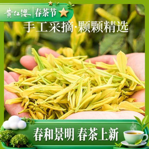 2026新茶上市 黄红缨瓮安黄金芽50g独立包装 商品图4
