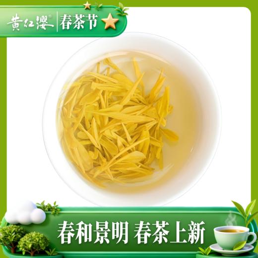 2026新茶上市 黄红缨瓮安黄金芽50g独立包装 商品图3