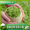 黄红缨 初春都匀毛尖50g 商品缩略图3