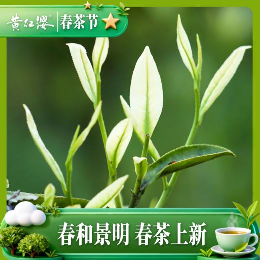 贵州十景.白茶一级108克铁盒装 商品图3