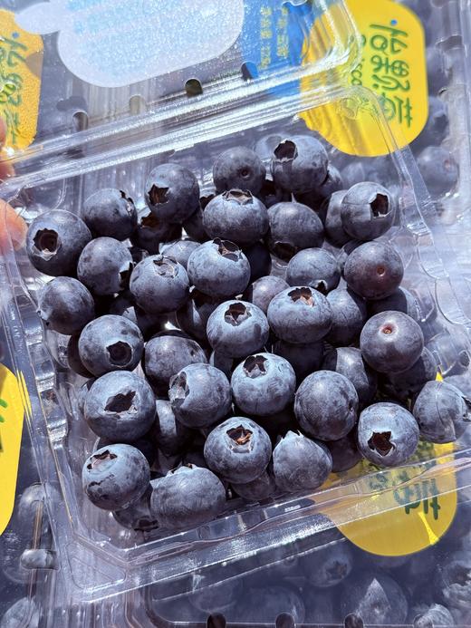 云南怡颗梅14+蓝莓 商品图4
