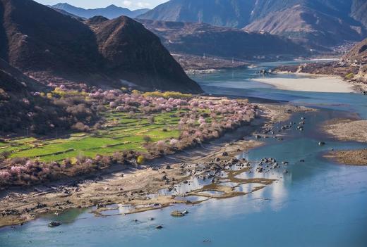 一起去西藏林芝，看桃花 |  6日行程 商品图3