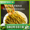 2026新茶上市 黄红缨瓮安黄金芽50g独立包装 商品缩略图2