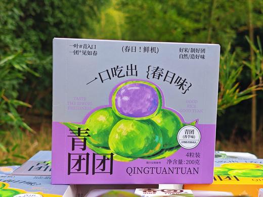春日限定 | 盒装青团（四粒精美盒装 春天的气息 创新馅料) 200克/盒 60盒/箱 保质期45天 商品图13