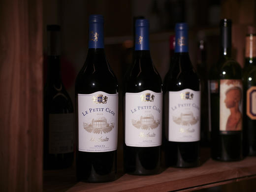 2019年智利小蓝宝堂干红 商品图5