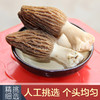 【新鲜羊肚菌】云南丽江羊肚菌 商品缩略图1