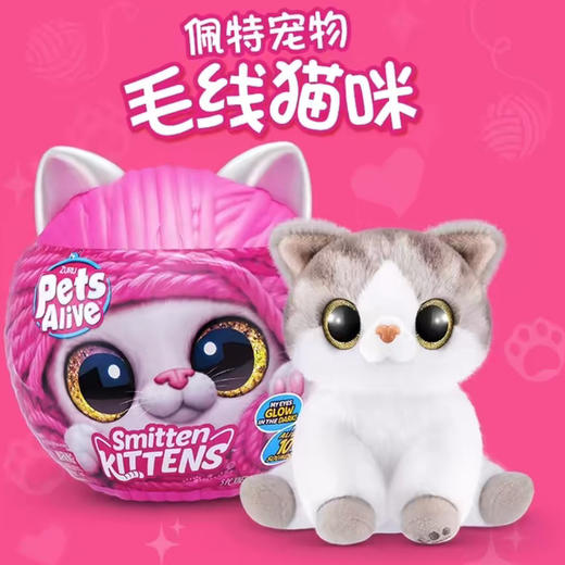9542zuru佩特宠物毛绒猫咪 商品图0