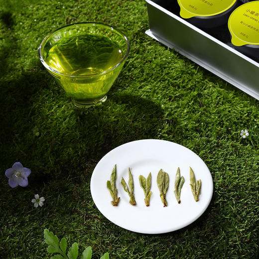 【2026春茶】小罐茶·银罐系列·早春特级龙井茶15罐装【现货】 商品图12