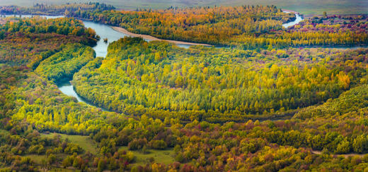 【大兴安岭・北极秋色10/13 天摄影团】兴安盟·阿尔山/呼伦贝尔·莫尔道嘎 / 漠河北极 商品图3