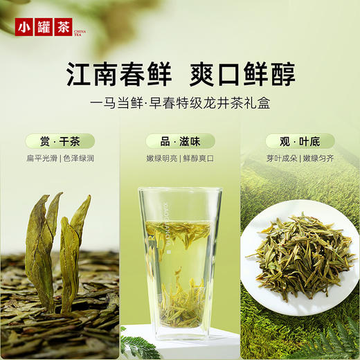 【2026春茶】小罐茶·一马当鲜·早春龙井茶礼盒72g【现货】 商品图2