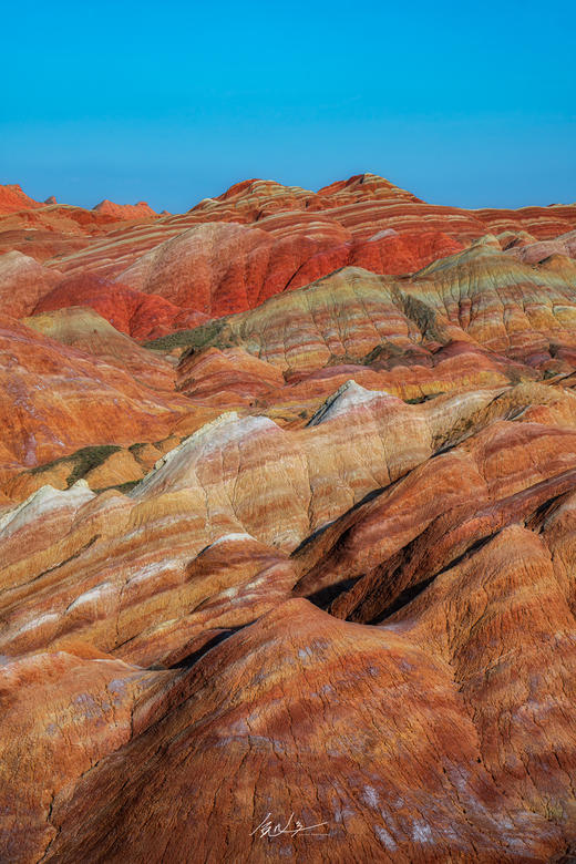 青甘蒙·秋季大环线13天—额济纳胡杨、黑独山、七彩丹霞、俄博梁、大柴旦、茶卡盐湖深度摄影团 商品图1