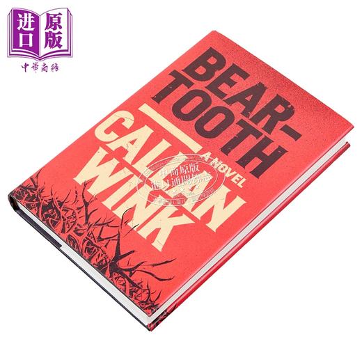 【中商原版】熊牙 犯罪小说 Beartooth 英文原版 Callan Wink 惊悚流行小说 商品图1