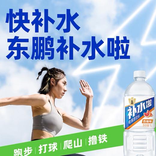 【东鹏补水啦】快补水！电解质≥400mg/瓶，跑步打球爬山撸铁必备西柚味补水饮料

 商品图1