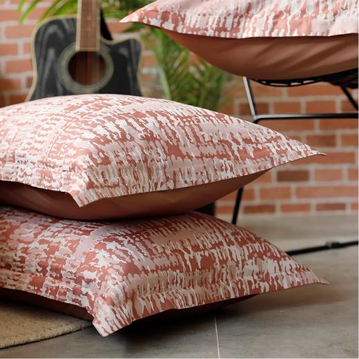 【代发】蓝铂成人四件套80支全棉床上用品（尺寸为被套尺寸） 商品图3