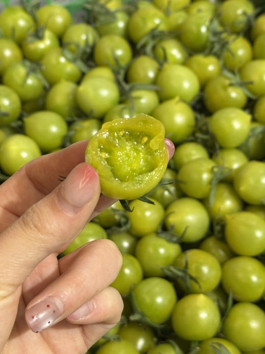 釜山绿千禧番茄（散称39.8/2斤称重补差） 商品图1