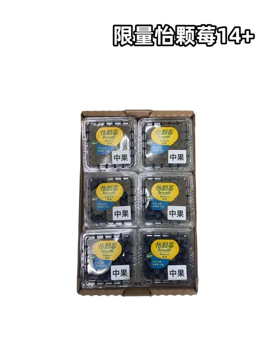 怡颗莓【中果】14➕   蓝莓 商品图0
