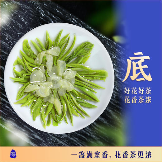 川红 东方茶韵茉莉花茶120g2.0版 商品图3