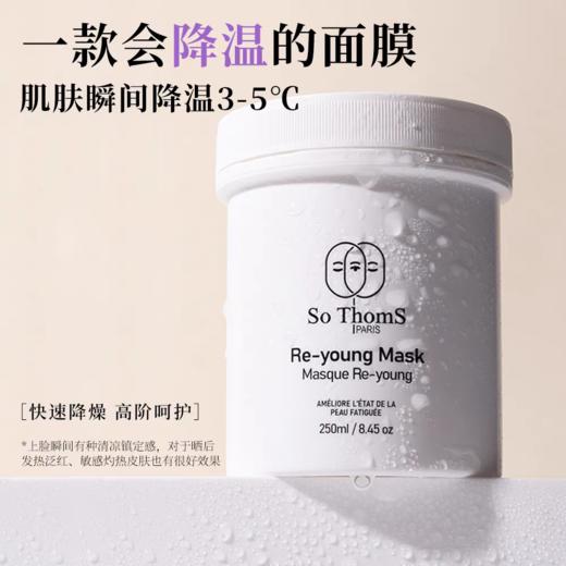 【买即赠旅行装】SoThomS苏彤氏焕颜柔润涂抹面膜， 法国植萃复合物，多重分子玻尿酸，敷完瞬间如磨皮美白 商品图2