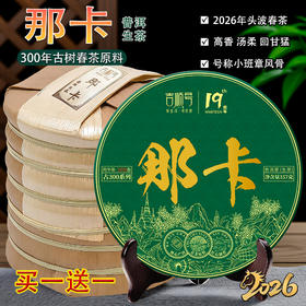 2026年春茶预售 吉顺号古300系列那卡古树普洱生茶饼