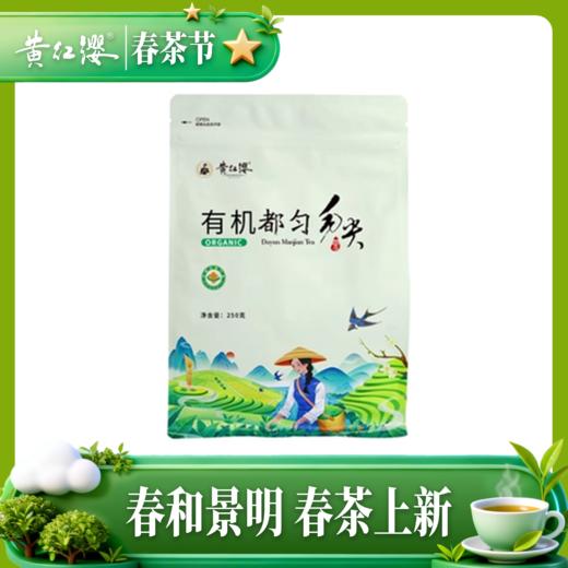 2026年新茶预售黄红缨有机都匀毛尖明前特级250g散装绿茶叶高山春茶 商品图0