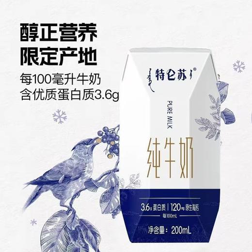 特仑苏纯牛奶  200ml*10盒/箱  醇正营养 限定产地 商品图2