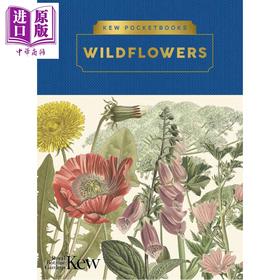 预售 【中商原版】野花 英国皇家植物园口袋书系 Kew Pocketbooks Wildflowers 英文原版 Ed Ikin Royal Botanic Gardens 邱园自然百科