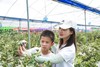 蓝莓王国甜蜜狂欢1日营 商品缩略图2