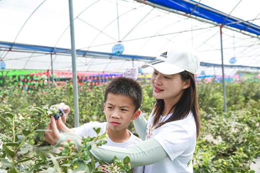 蓝莓王国甜蜜狂欢1日营 商品图2