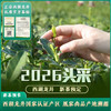 春日限定西湖产区龙井茶！凰家尚品产地溯源 ！2026年 狮峰山明前西湖龙井，西湖龙井茶国家认证产区 预售：3月25日左右发货 商品缩略图1