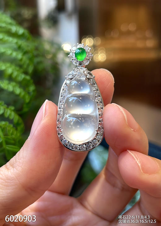 6020903，玻璃福豆吊坠。具体价格微信咨询 商品图1