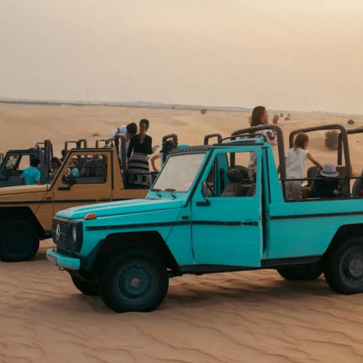【迪拜•当地玩乐】迪拜复古G级经典野生动物探险之旅，沉浸于古老阿拉伯的魅力之中 穿越金色沙丘，尽享优雅旅程，捕捉壮丽景色~ 商品图1