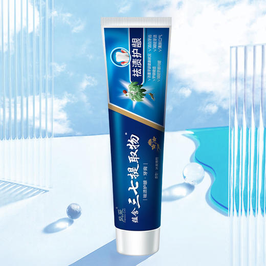 风采·祛渍护龈牙膏180g含三七提取物（冰爽薄荷）60121 商品图2
