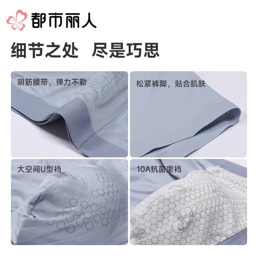 都市丽人内裤男士内裤冰丝内裤锦纶平角内裤明筋内裤FKCG03 商品图3