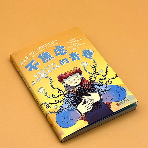 不焦虑的青春：写给青少年的情绪管理指南 商品图3